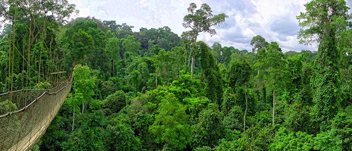 Top 10 Tourist Sites In Ghana And Their Regions That Are Worth Visiting