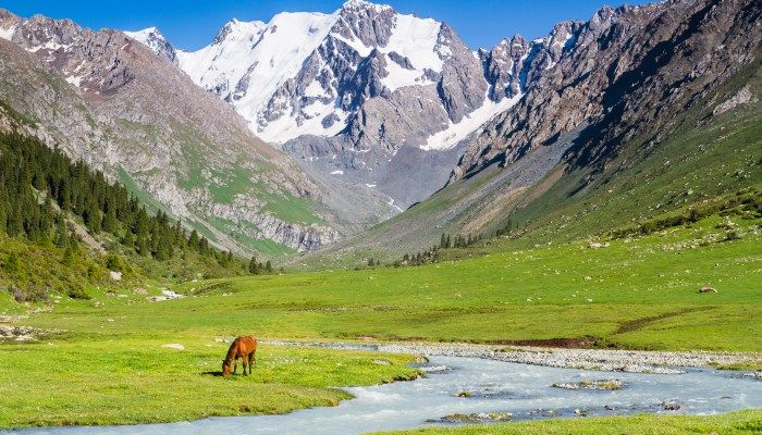 Karakol