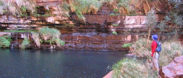 Karinji-National-Park.jpg