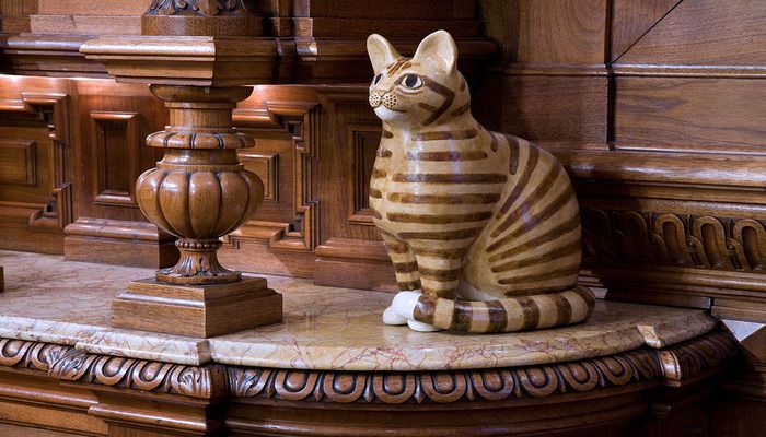 KattenKabinet