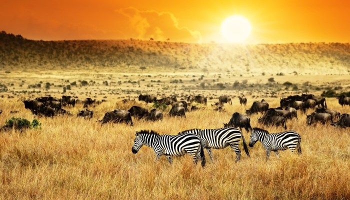 Kenya