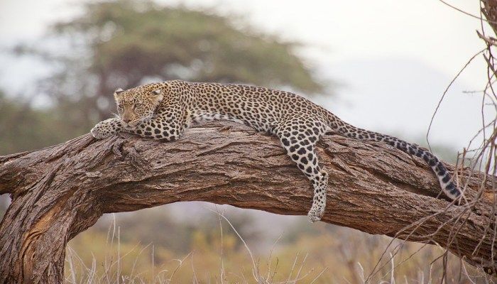 Kenya, Instagram worthy tropical destinations