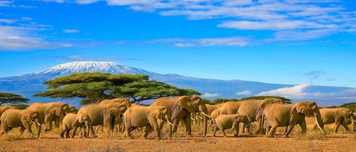 Kenya-1.jpg
