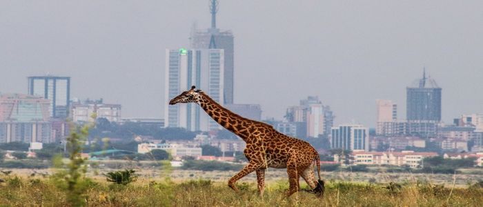 Kenya.jpg