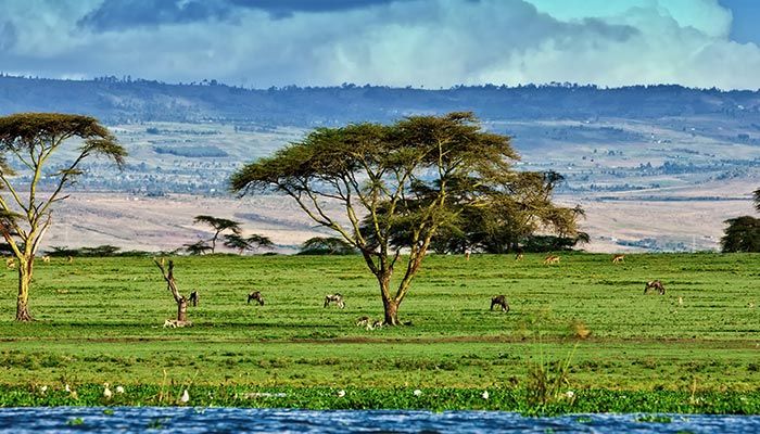 Kenya - Discover Your Wild Side
