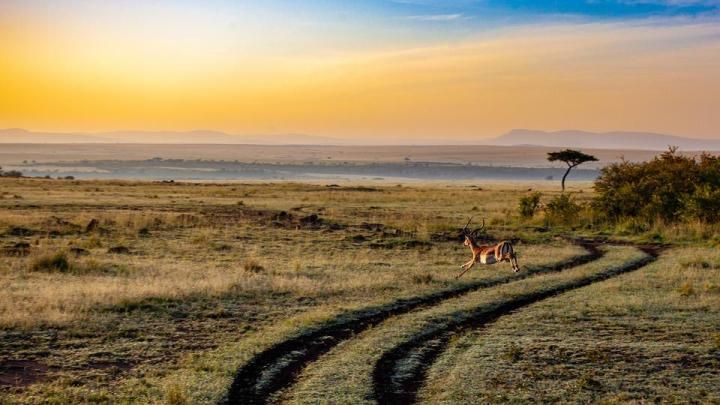 Kenya, East Africa