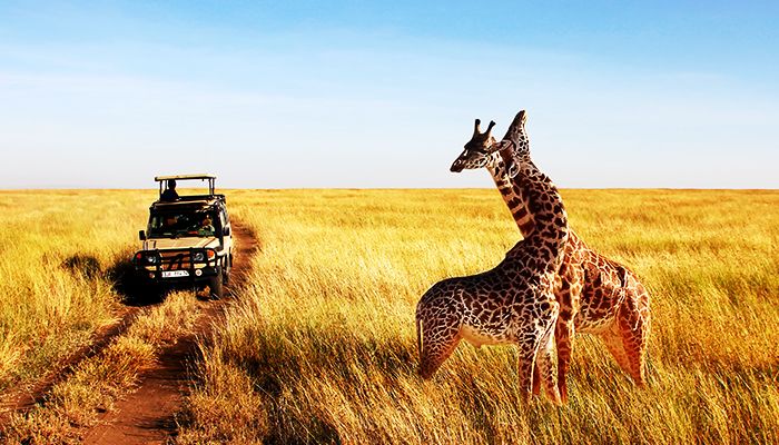 Kenya: From Safaris To Shores