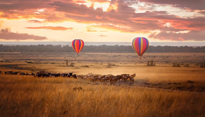 Kenya: Safari Serenity in the Maasai Mara