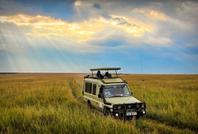 Kenya Travel Guide: Top Attractions, Travel Tips, And More