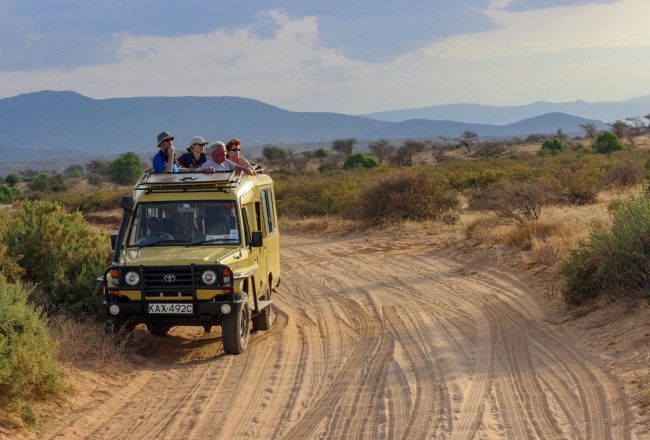 Kenya Safari Tours: Where To Go? Why You Can’t-Miss These?