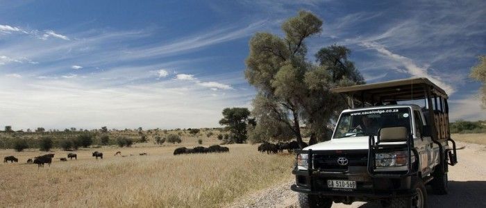 Kgalagadi Transfrontier Park