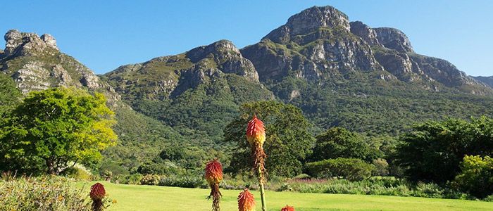 Kirstenbosch Botanical Gardens