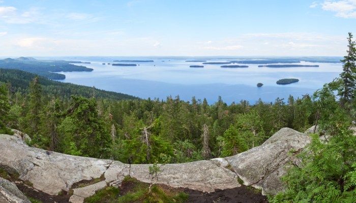 Koli National Park