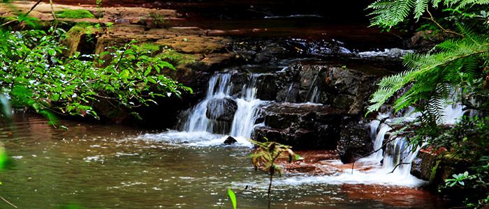 List Of Top 10 Fun Outdoor Activities And Things To do In Durban