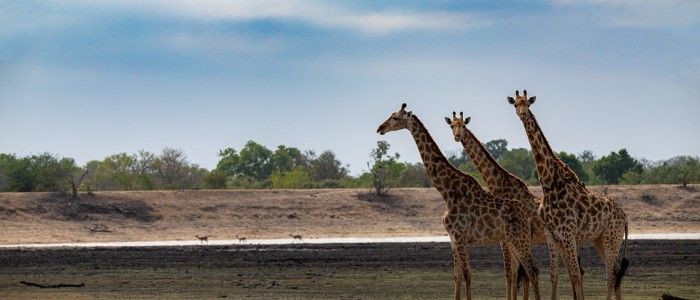 Kruger National Park