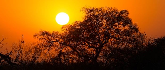 Kruger national park