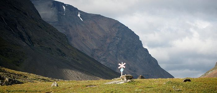 Kungsleden