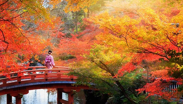 Kyoto, Japan