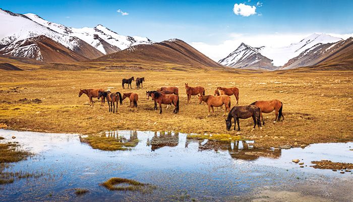 Kyrgyzstan, Visa-Free Travel