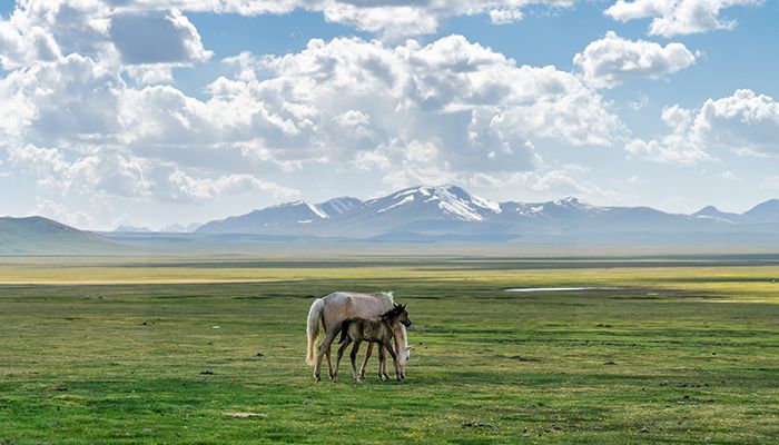 An Epic List of Amazing Destinations for the Perfect National Day Getaway