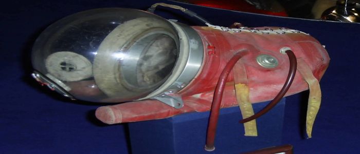 Laika suit