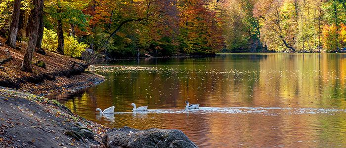Lake Parz-Nature and park experiences
