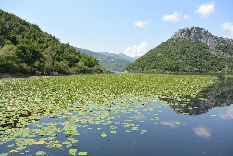Lake Skadar