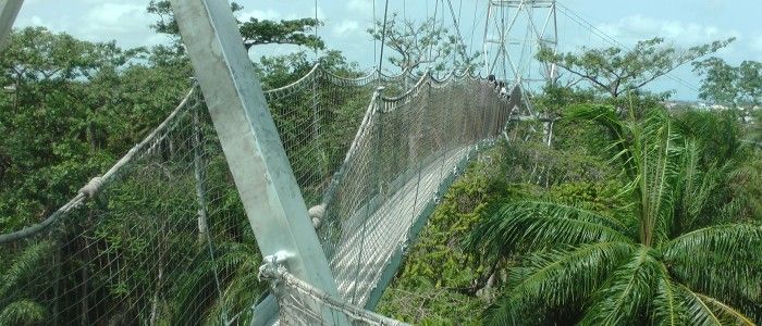 Lekki Conservation Center Lagos Nigeria