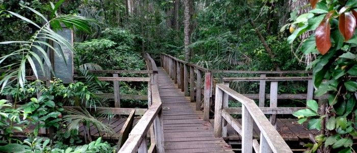 Lekki Conservation Centre