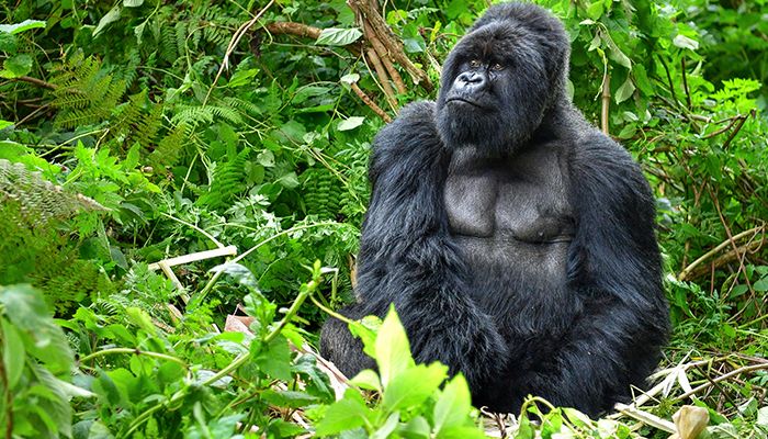 Local Community Supports Nature Travel