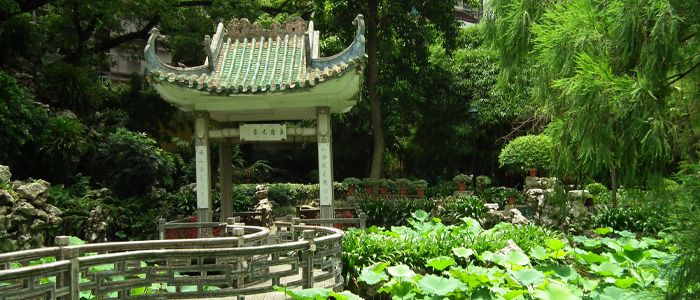 Lou Lim Ioec garden
