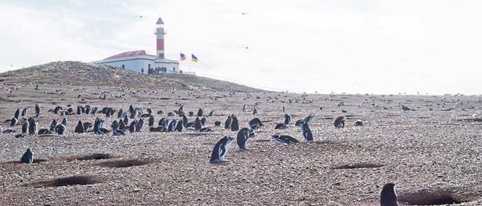 MONUMENTO NATURAL LOS PINGÜINOS