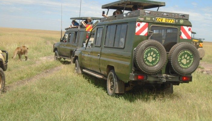 Maasai Mara, Kenya