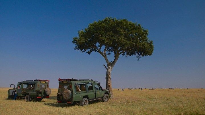 Maasai Mara, Kenya