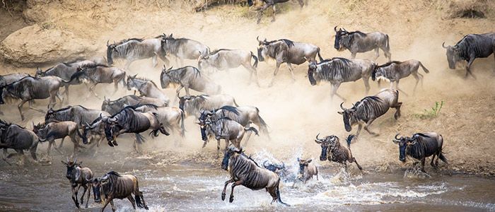Best Time To Visit Kenya And Top 10 Iconic Tourist Attractions To Explore