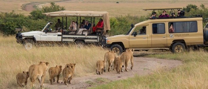 Maasai Mara Reserve Kenya