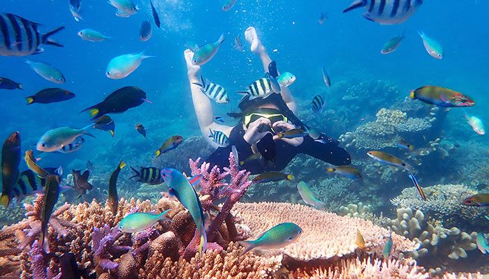 The Maldives - Explore The Underwater