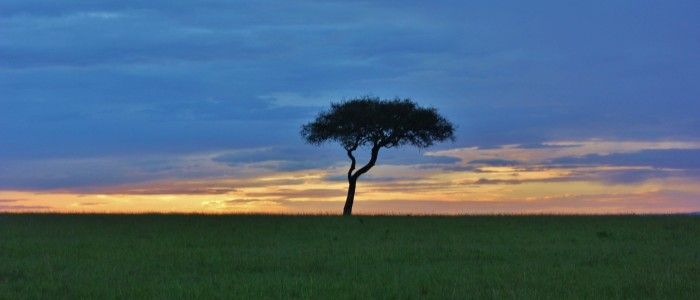 Masai Mara