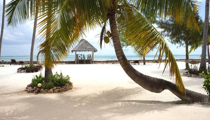 Michamvi Beach, places to visit in Zanzibar