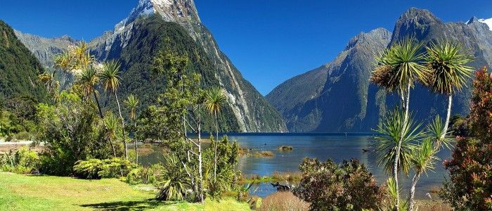 Things To Do In New Zealand - Milford sound New Zealand