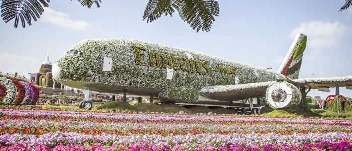 Miracle Garden