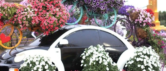 Miracle Garden