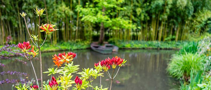 Monet’s Gardens