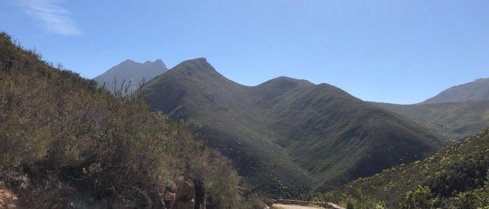 Montagu.jpg