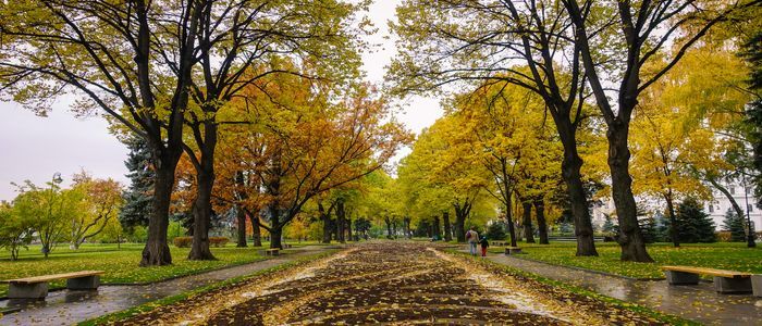 Moscow-local-life-and-ambiance.jpg