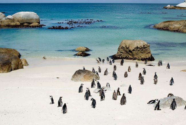 Top 10 Most Beautiful Beaches In South Africa That Instill A Sense Of Adventure!