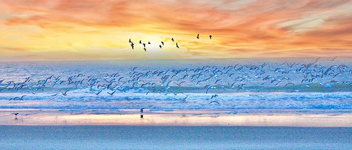 Myrtle-Beach.jpg