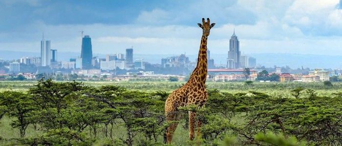 Nairobi