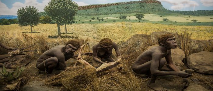 Things To Do In Kenya - Visit Nairobi National Museum