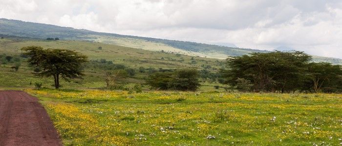 Ngorongoro Conservation Area